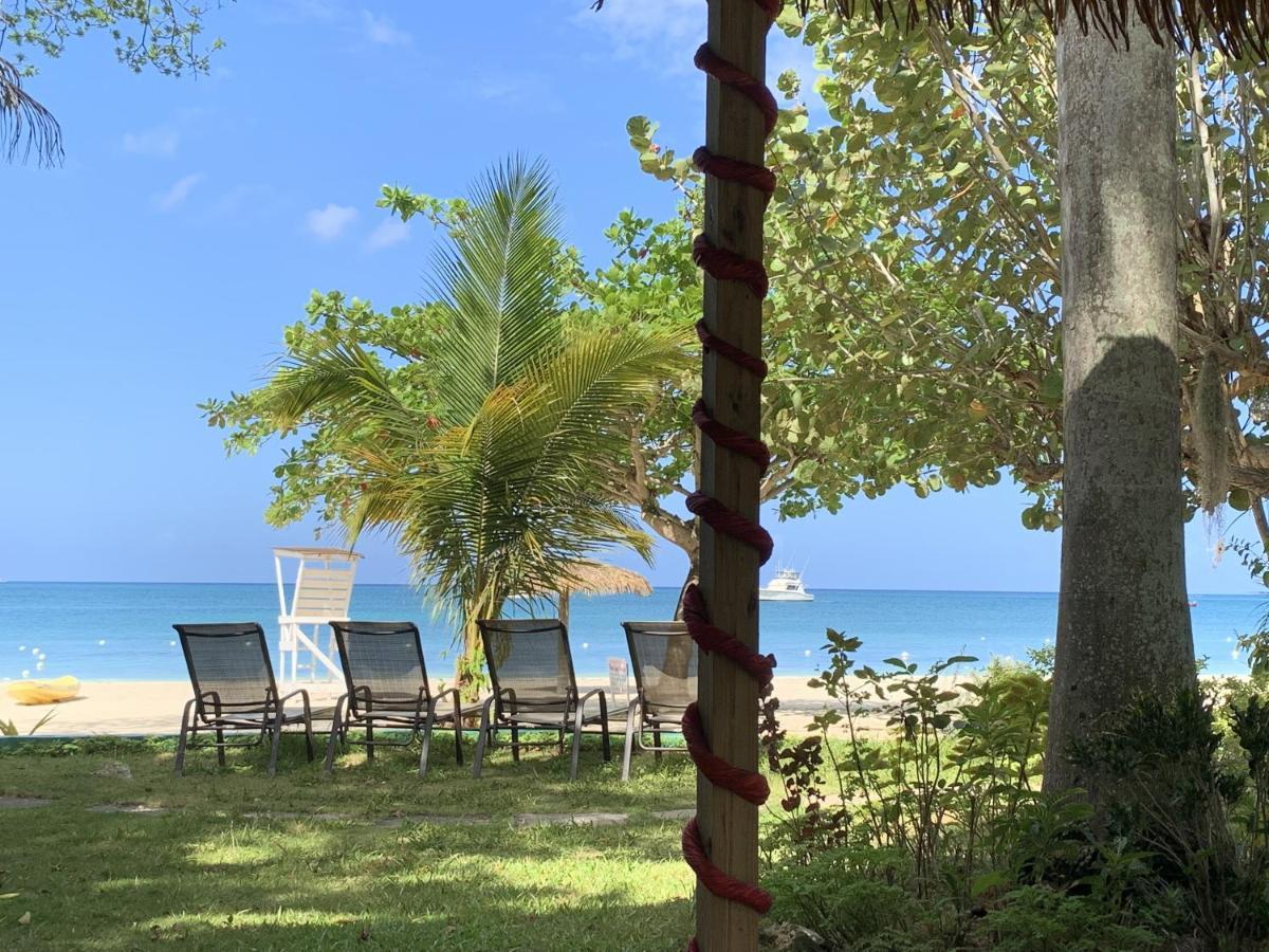 Family Comfort In Jamaica - Enjoy 7 Miles Of White Sand Beach! Villa Negril Kültér fotó